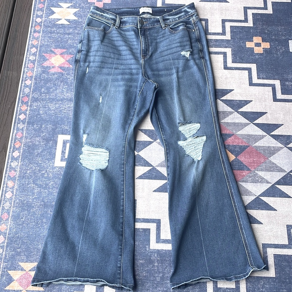 Lane Bryant flare jeans